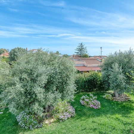 La Casa Degli Ulivi Appartamento In Villa Con Patio Quartu Sant'Elena Luaran gambar